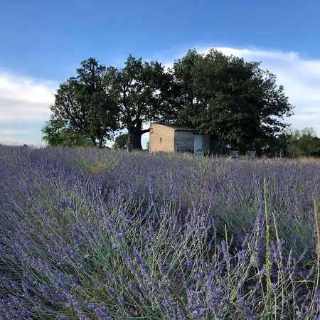 הוילה סניו Cabanon Du Berger מראה חיצוני תמונה