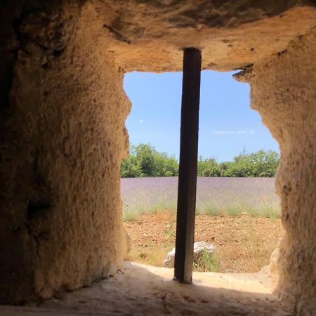 הוילה סניו Cabanon Du Berger מראה חיצוני תמונה
